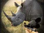 Rhino Hunter Capturing Strike